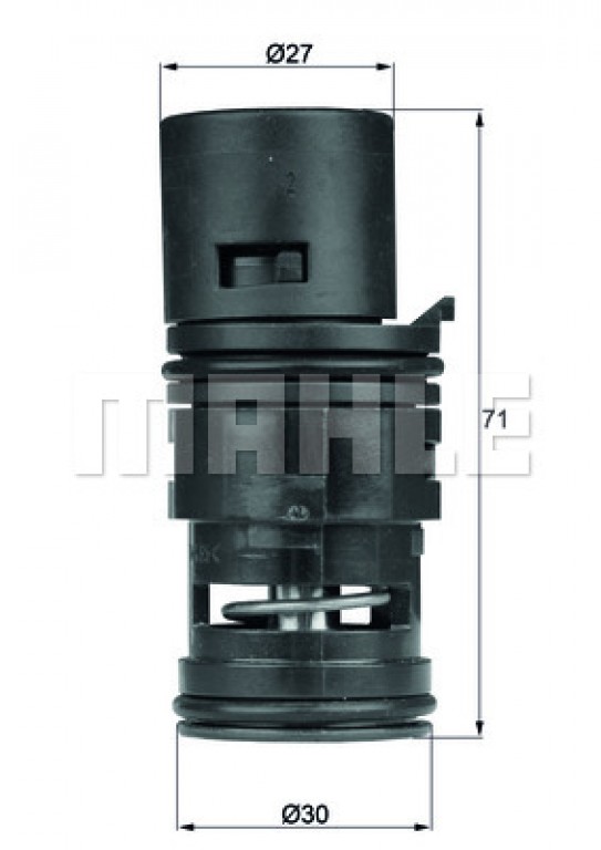 Thermostat for Expansion Tank E46 X3 X5