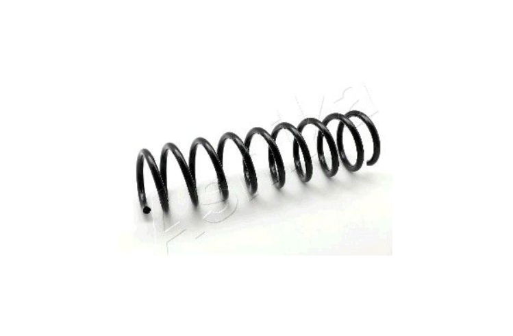 Coil Spring REAR E39