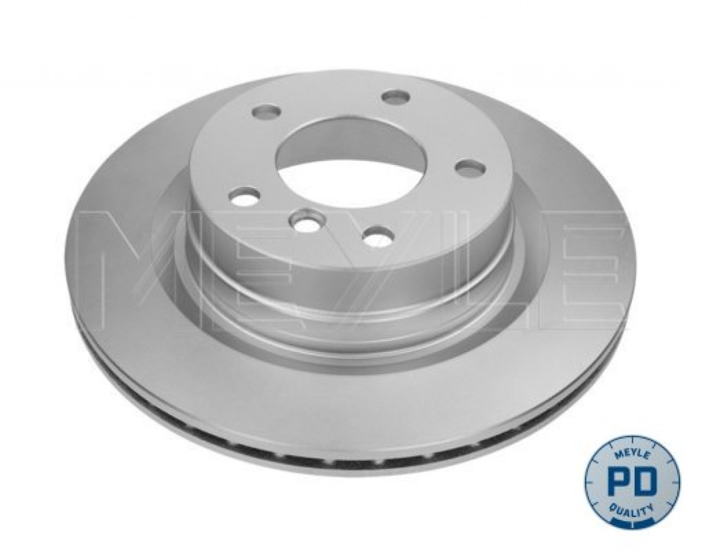 Rear Brake Disc 300x20 F20 F21 F22 F23