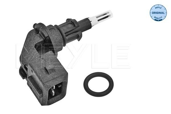 Intake Air Temperature Sensor