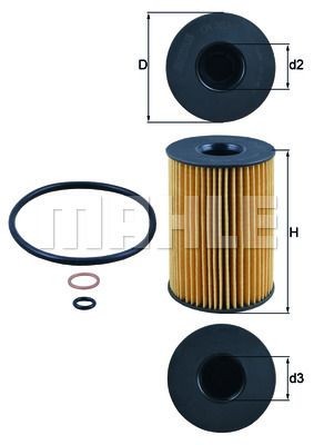 Oil Filter F10 F12 F90 M5 M6 E70 E71 F85 F86 X5 X6 M + F91 M8