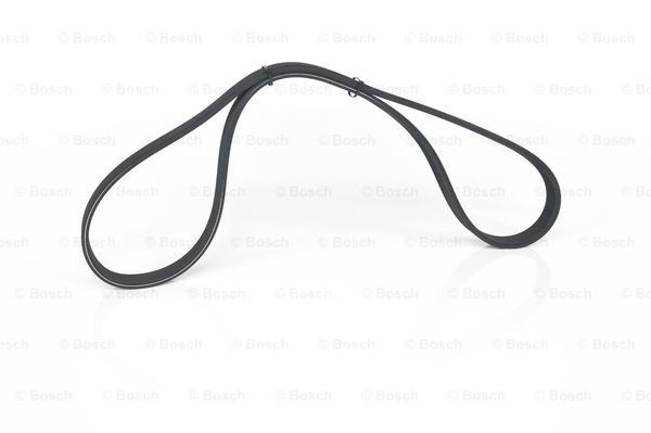 Serpentine Drive Belt