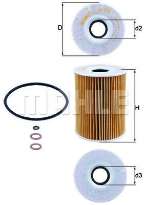 Oil Filter E90 M3