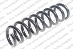 Coil Spring REAR F20 F21