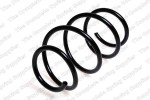 Coil Spring FRONT E39