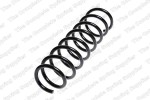 Coil Spring REAR E60